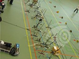 Bärenturnier Freising