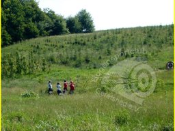 Bayerische Meisterschaft Feld