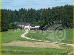 Bayerische Meisterschaft Feld