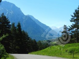 Bayrische Meisterschaft Feld