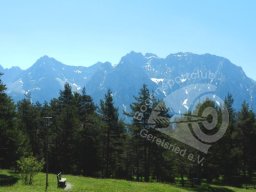 Bayrische Meisterschaft Feld