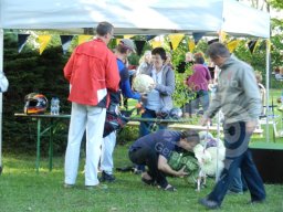 große FITA Ismaning