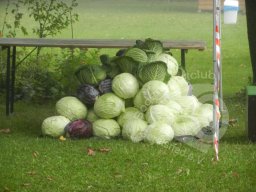 große FITA Ismaning