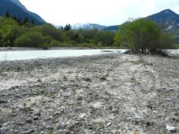 Mittenwald Gaumeisterschaft Feld