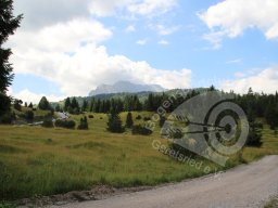Deutsche Meisterschaft Feld Mittenwald