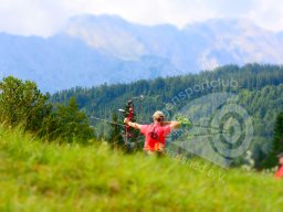 Deutsche Meisterschaft Feld Mittenwald