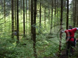 Oberbayerische Feld Murnau