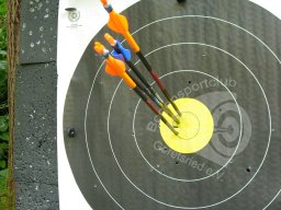 1. BSC Feldbogenturnier 2015