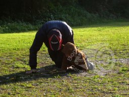 1. BSC Feldbogenturnier 2015