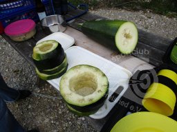 1. BSC Feldbogenturnier 2015