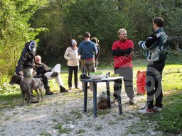 1. BSC Feldbogenturnier 2015