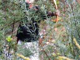 1. BSC Feldbogenturnier 2015