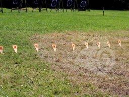 Bayerische Meisterschaft Feld