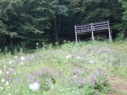 Deutsche Meisterschaft Feld