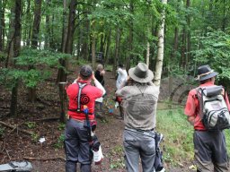 Deutsche Meisterschaft Feld