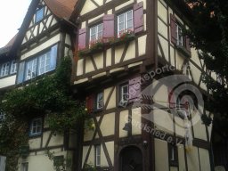 Deutsche Meisterschaft Feld