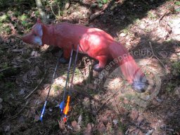 Feld- &amp; 3D-Turnier Wackersberg