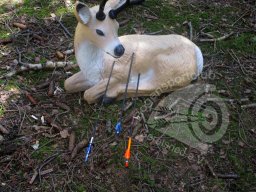 Feld- &amp; 3D-Turnier Wackersberg