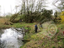 Feldturnier Keltenschanze