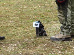 Vereinsmeisterschaft Feld