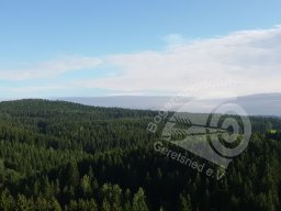 EFAC (IFAA Europameisterschaft) Hohegeiß