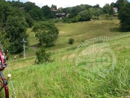 EFAC (IFAA Europameisterschaft) Hohegeiß