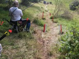 EFAC (IFAA Europameisterschaft) Hohegeiß