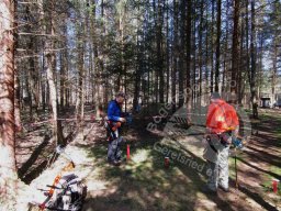 Feldbogenliga Murnau