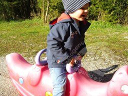 Gaumeisterschaft Feld