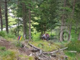 Deutsche Meisterschaft Feld Mittenwald