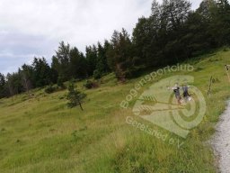 Deutsche Meisterschaft Feld Mittenwald