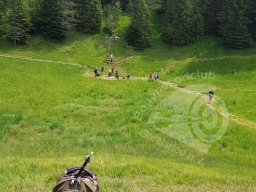 Deutsche Meisterschaft Feld Mittenwald