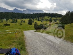 Deutsche Meisterschaft Feld Mittenwald