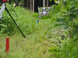 Bayerische Meisterschaft Feld