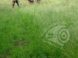 Bayerische Meisterschaft Feld