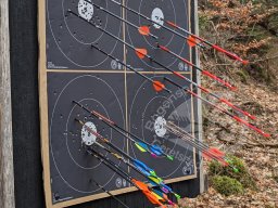 Feldturnier Dahn DFBV