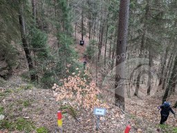 Feldturnier Dahn DFBV