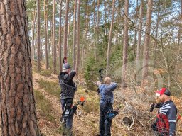 Feldturnier Dahn DFBV