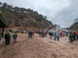 Feldturnier Dahn DFBV