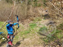 Feldturnier Dahn DFBV