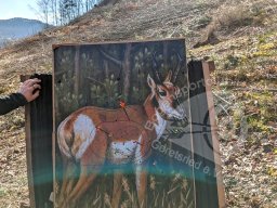 Feldturnier Dahn DFBV