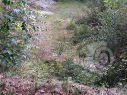 Unser Gelände - Feldparcour Scheiben