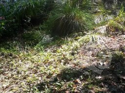 Unser Gelände - Feldparcour Scheiben