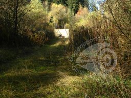 Unser Gelände - Feldparcour Scheiben