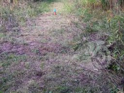 Unser Gelände - Feldparcour Scheiben