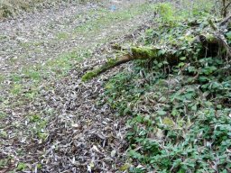 Unser Gelände - Feldparcour Scheiben