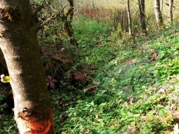 Unser Gelände - Feldparcour Scheiben