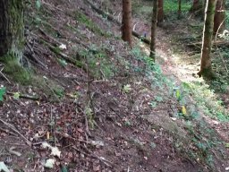 Unser Gelände - Feldparcour Scheiben