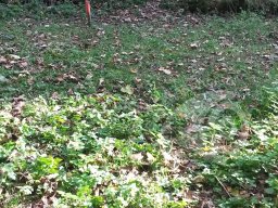 Unser Gelände - Feldparcour Scheiben