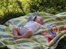 Arbeits &amp; Grilltag Juni 2014